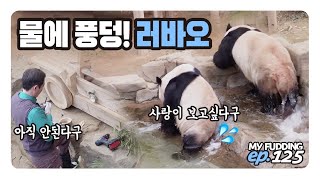 때가 됐다구, 물에 들어간 러바오💦송바오 600 준비 중 무전기 울림👍루후 외출