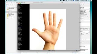 ofxSpeech example-zoo TEST