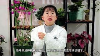 想要拥有一面花墙吗？不是只有月季，这些植物也可以做到