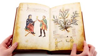 Medicina Antiqua - Facsimile Editions and Medieval Illuminated Manuscripts