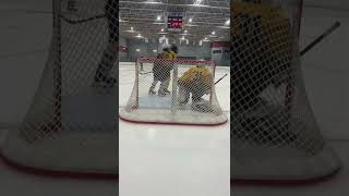 Brandon Prior Fall Prep Highlights
