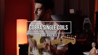 Cobra Single Coil Set Play-Through with Keyan Houshmand