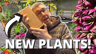 Houseplant UNBOXING: Without the BORING BOXY Bit!