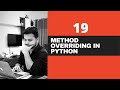 #19 Method Overriding In Python - Polymorphism - Python Tutorials - Python Tutorials For Beginners