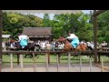 京都の四季　上賀茂神社　賀茂の競馬の足汰式（試走）