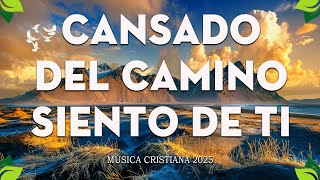 MÚSICA CRISTIANA 2024 QUE TRAE PAZ Y TRANQUILIDAD 🕊️ #worshipmusic #worship #musicacristiana