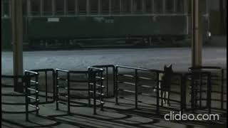 Ending to Hachiko Monogatari - The story of a faithful dog's (1987)