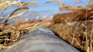 Video about the most durable Vertical Axis Wind Turbine (VAWT) in existence.