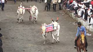 12 16 काळभैरवनाथ मित्र मंडळ करंजविहीरे final   1   Camera1   17 46 29 17 47 04