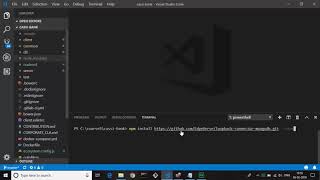 02 Demo Installing Loopback MongoDB Connector