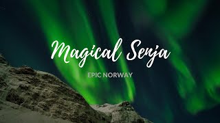 EPIC NORWAY - Northern Lights in Senja in 5K