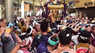 平成29年　蒲田八幡神社　例大祭　宮神輿巡行（3）