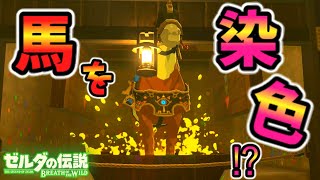 乗馬しながら染色すると？馬ワープ(HWW)のやり方【ブレワイ BotW】裏技 バグ 検証 ゆっくり実況 glitch