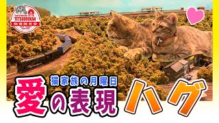 💖愛の表現…ハグ💖〜猫家族の月曜日