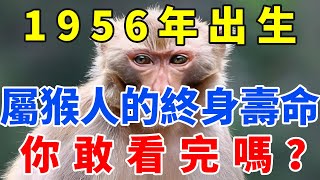 1956年出生，屬猴人的終身壽命，你敢看完嗎？准得可怕！【佛語禪音】#生肖 #命理 #運勢 #屬相 #風水