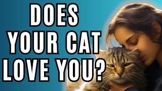 How Cats Show Love - Bonding With Cats - The Meaning of Cats Purring / Cat World Academy