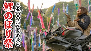 最高の休日ツーリングがしたい｜3500匹の巨大鯉に囲まれるバイクと私...GWオススメスポット