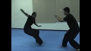 太極拳架發勁1