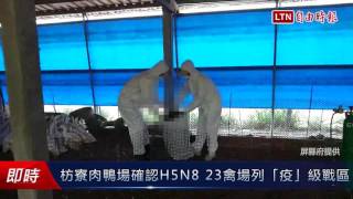 枋寮肉鴨場確認H5N8 週邊23禽場列「疫」級戰區