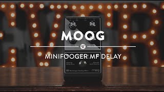 Moog MF-Delay vs MF-104M | Reverb Video Demo