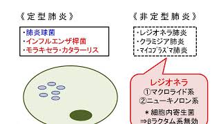 抗菌薬の使い方・肺炎（医師国家試験）⑤