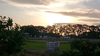 松山市久万ノ台、秋の夕景