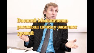 Василий Мельниченко рассказал почему сжигают урожай