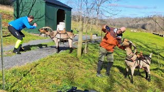 Greenbrier River Trail Group Ride