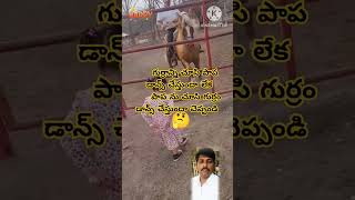 పాప ను చూసి గుర్రం డాన్స్ చేస్తుందా చెప్పండి#youtubeshorts#shortsvideo#viral