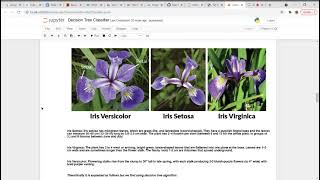 Predicting the IRIS plant class using 'Decision Tree Classifier' Algorithm.