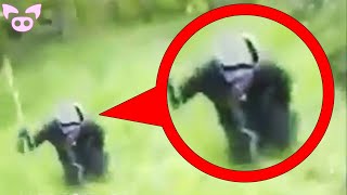 Jaw Dropping Mysterious Videos You Have to See