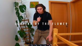 Looping by the Flower