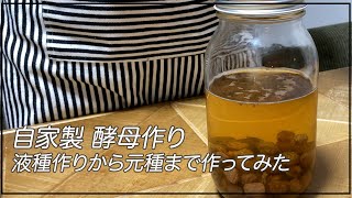 【自家製酵母作り方】基本のレーズン酵母を液種から元種まで作ってみた