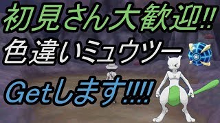 【ポケモン】色違いミュウツーウルトラボールでGetします!!!!【USUM】【Live】part 4