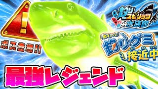 サメ祭り史上最強！魚召喚ｘ99で釣りグミレジェンド「ホホジロザメ」を何匹釣れる？【釣りスピリッツ水族館】攻略実況Part230