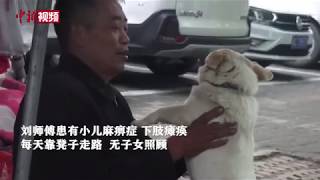 现实版忠犬八公！小狗照看无腿老人菜摊 不离不弃