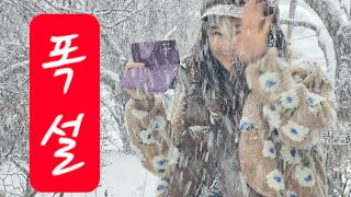 폭설 !!  실시간 라이브❄️눈 내리는 화실 ❄️ 수수꽃다리 !! 그림그리다  밖으로 ~~~ 눈놀이