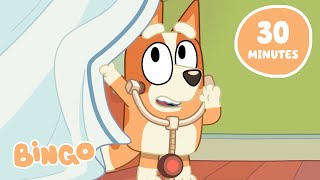 Playing Games with Bingo and Friends! 🧡 ✨ | Bluey Full Episodes | Bingo - Official Channel