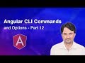 Angular CLI Commands and Options | Angular Tutorial