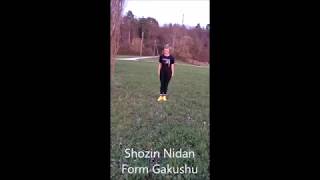 Shozindo@home - Shozin Nidan Form Gakushu