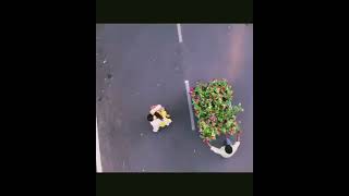 best person clip //new watsapp stunts #shorts #love #parpose #parposeday