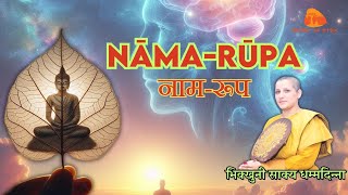 Abhidhamma (Lecture 24) in English and Hindi! Nāma Rupa (नाम रूप)!!!