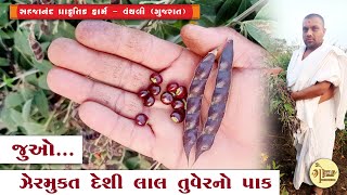 || જુઓ... ઝેરમુક્ત દેશી લાલ તુવેરનો પાક ||