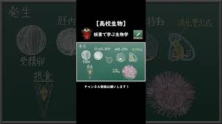 ウニの発生の概要【133生物】#発生　#ウニ　#板書で学ぶ生物学　#高校生物　#勉強　#生物