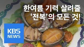 [정보충전] ‘착한 가격’ 한여름 기력 살려줄 제철 전복 / KBS뉴스(News)