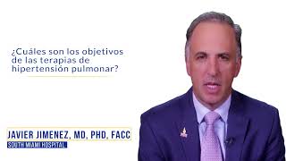 ¿Cuáles son los objetivos de las terapias de hipertensión pulmonar?