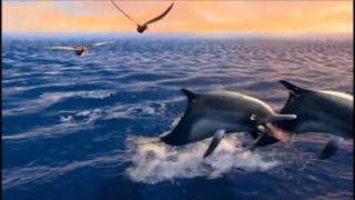 Finding Nemo - Serial Communication