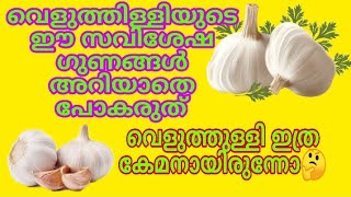 The benefits ofgarlic / വെളുത്തുള്ളിയുടെ ഈ ഗുണങ്ങൾ അറിയാതെ പോകരുത്. വെളുത്തുള്ളി ഇത്ര കേമനായിരുന്നോ🤔