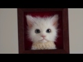 羊毛フェルトで子猫を作ってみた☆i made a kitten with wool felt.