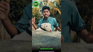 😱 உங்களுக்கு தேவைப்படுற  ‌vera lvl  gadgets 🔥#shorts